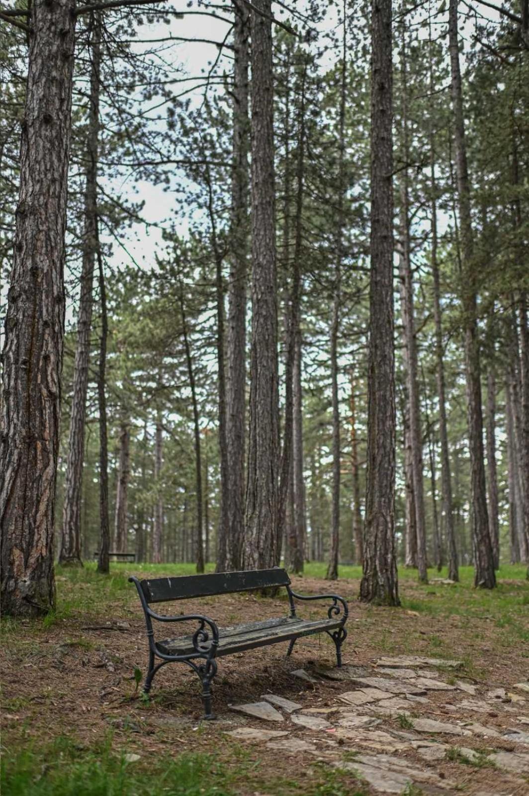 Mb Apartman Tara Kaludjerske Bare Quarto foto